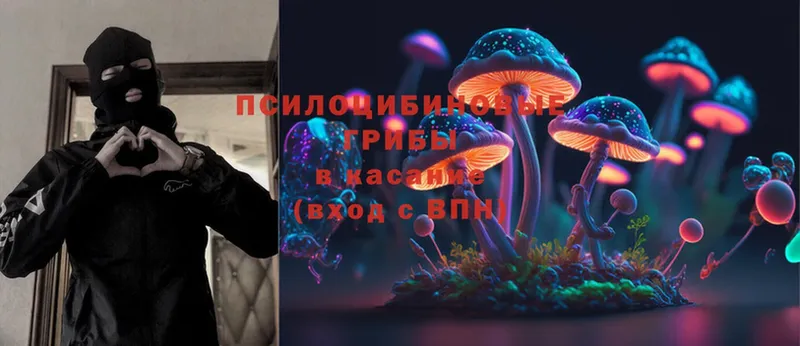 Галлюциногенные грибы Magic Shrooms  купить закладку  Шахты 